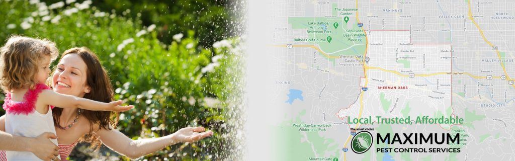 Local Expert Pest Control and Management in Sherman Oaks