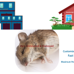 dead rat and illustration of a house and warehouse