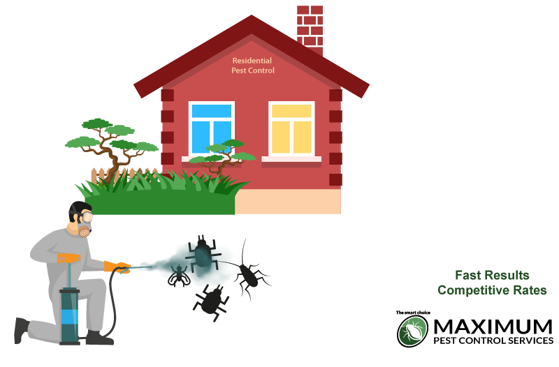 residential home pest fumigator