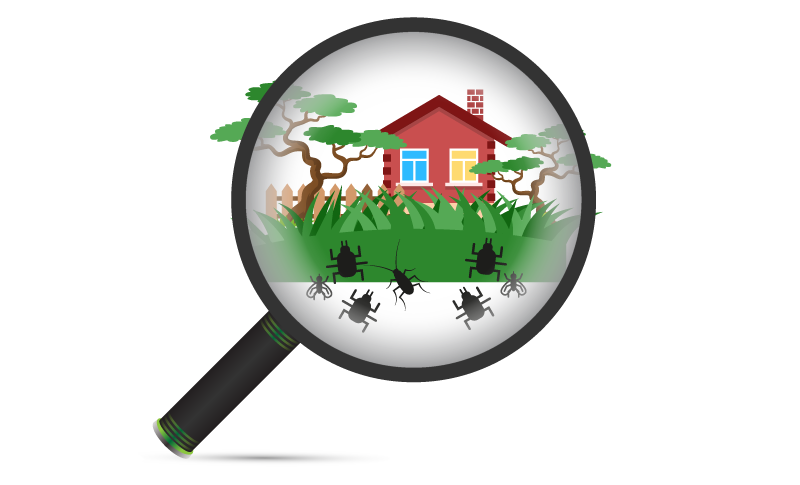 illustration of pests behind magnifying glass and a home