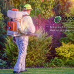 pest controller fumigation spraying pesticide in green garden