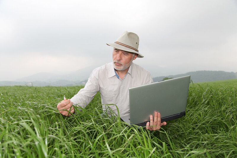 farmer holding laptop analyzing crop