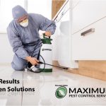 pest control technician inside an Los Angeles home spraying pesticide under the kitchen cabinet